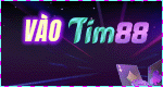 14.Banner Tim88 150x80